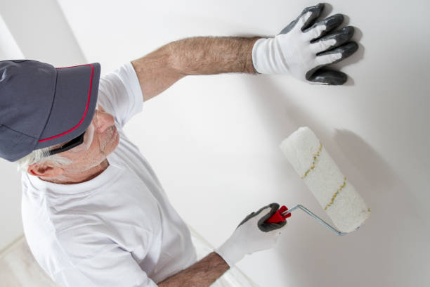 Best Mold-Related Health Consultation  in Marquette Heights, IL
