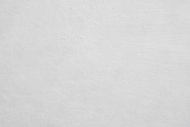 Best Commercial Mold Inspection  in Marquette Heights, IL