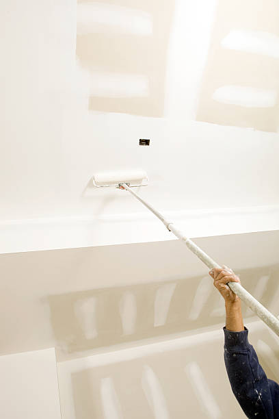 Best Basement Mold Removal  in Marquette Heights, IL